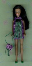 Dancing Purple with green fringe + purse