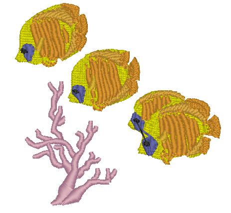 Addis Butterflyfish