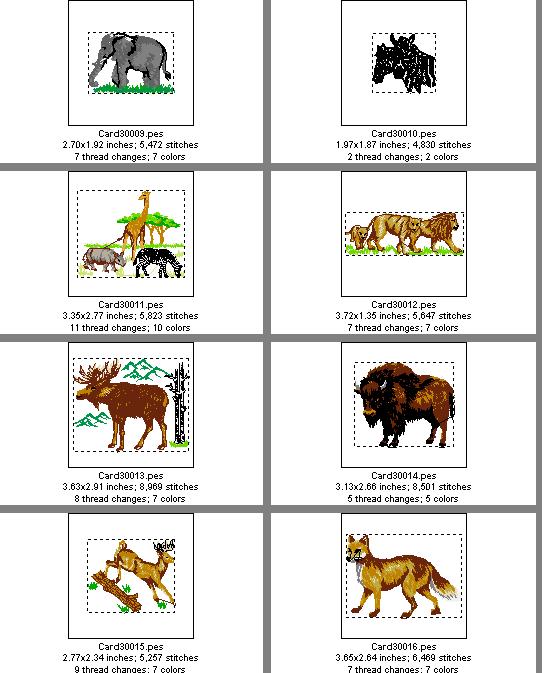 Card 30 Animals--Page 2
