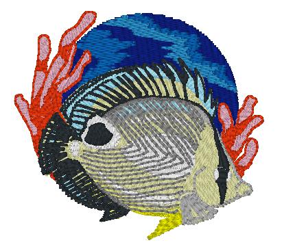 Four-eyed Butterflyfish