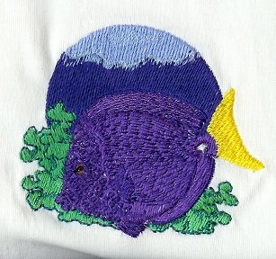 Purple Tang