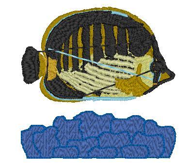 Spot-Baned Butterflyfish