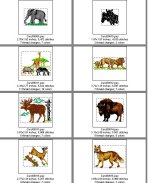 Card 30 Animals--Page 2