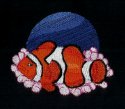 Clownfish in BTA (SeaLife)