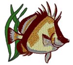 CrissCross Butterflyfish