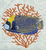Emperor Angelfish with coral