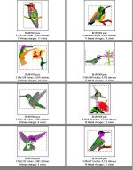 Hummingbirds--Page 1