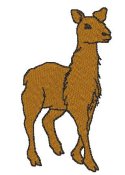 Llama