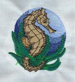 Seahorse 2