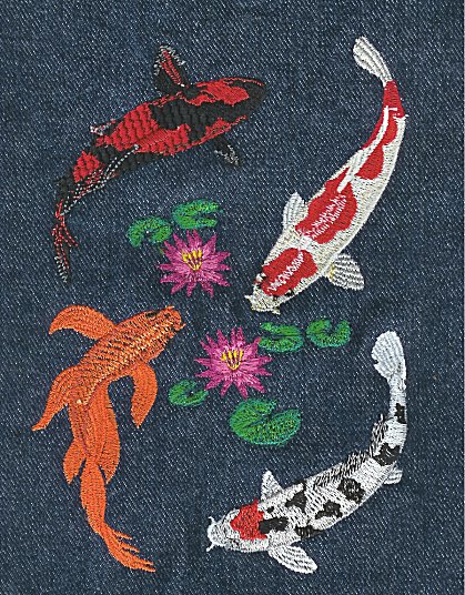 4 Koi with hardy water lily