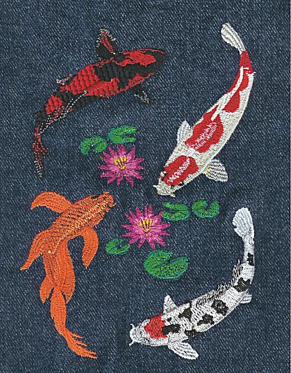 4 Koi with hardy water lily