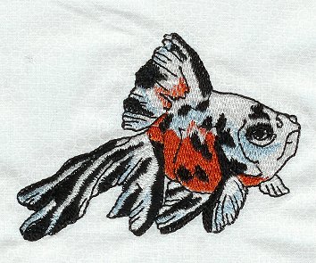 Fantail Goldfish