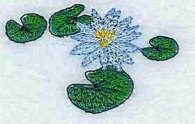 Blue Water Lily