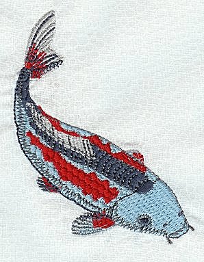 Shusui Koi