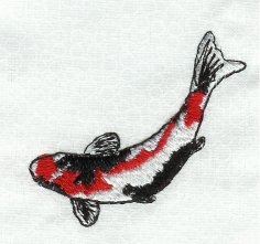 Small Showa Koi #2