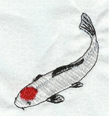 Small Tancho Kohaku