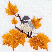 Chickadee Autumn