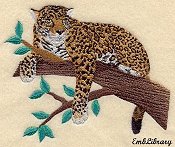 Jaguar In Tree