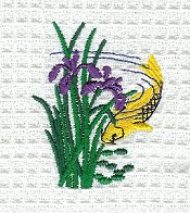 New - Koi & Iris
