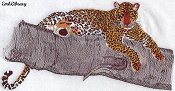 Leopard on branch