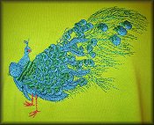 Peacock #2