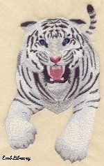 Roaring White Tiger