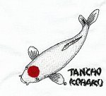 Tancho Kohaku